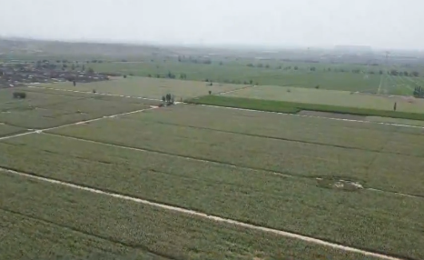 2025年9月23日【新區新聞】